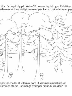Hur rör du på dig på hösten? Svampskog