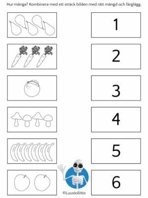 Kombinera mängderna 1-6